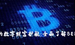 打造你的数字财富护航：全面了解BEP20钱包
