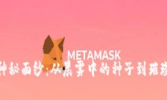 揭开XCH的神秘面纱：从晨雾中的种子到璀璨的金