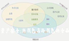 掌握数字资产安全：热钱包与冷钱包的全面使用