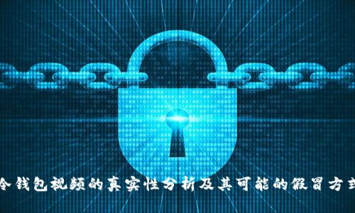 冷钱包视频的真实性分析及其可能的假冒方式