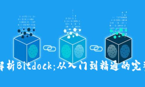 全面解析Bitdock：从入门到精通的完整指南