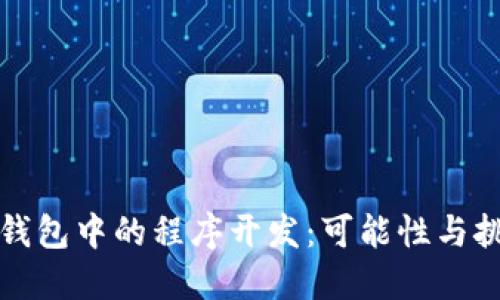 冷钱包中的程序开发：可能性与挑战