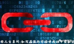 比特儿交易所：如何在海外市场中成功下载和使