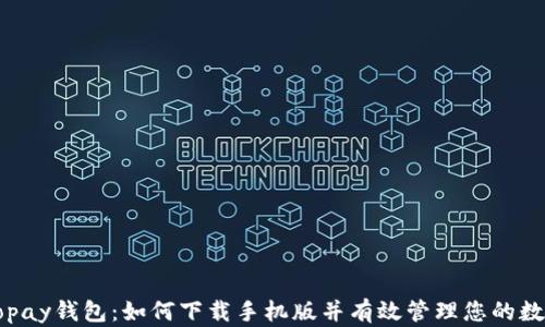 
探索Copay钱包：如何下载手机版并有效管理您的数字资产