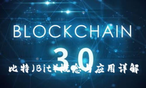 比特（Bit）概念与应用详解