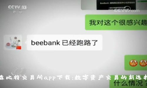 森比特交易所app下载：数字资产交易的新选择