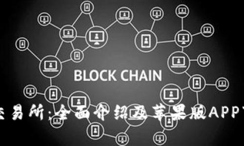 比特牛交易所：全面介绍及苹果版APP下载指南