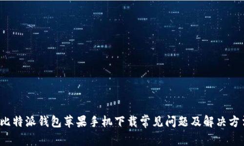  比特派钱包苹果手机下载常见问题及解决方法