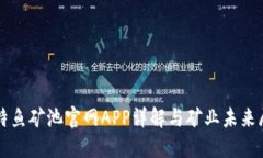 比特鱼矿池官网APP详解与矿业未来展望