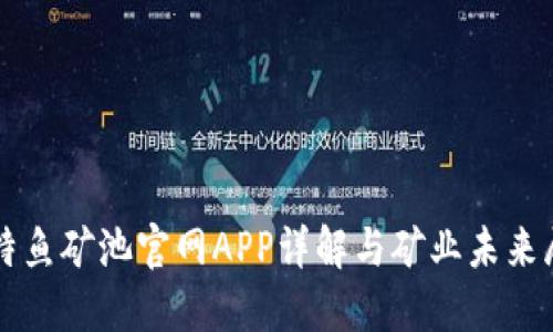 比特鱼矿池官网APP详解与矿业未来展望