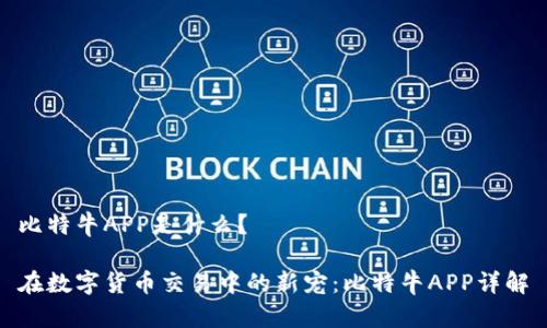 比特牛APP是什么？

在数字货币交易中的新宠：比特牛APP详解