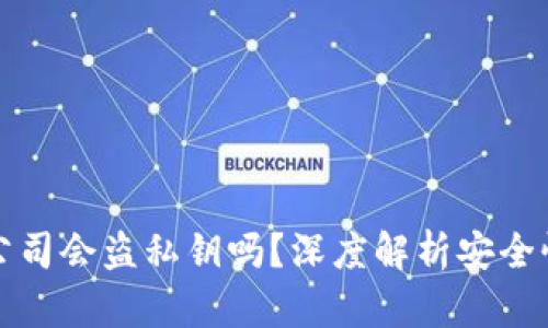 冷钱包开发公司会盗私钥吗？深度解析安全性与信任问题