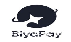 全面解析K豆钱包充值平台：选择、安全与便捷的