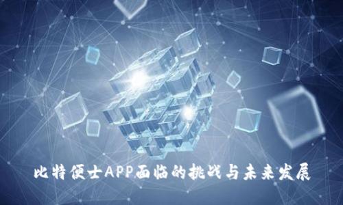 比特便士APP面临的挑战与未来发展