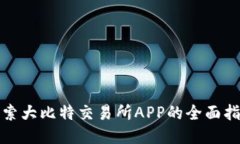 探索大比特交易所APP的全面指南
