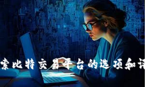 深入探索比特交易平台的选项和评估标准