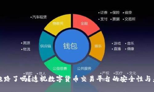 比特派跑路了吗？透视数字货币交易平台的安全性与未来趋势