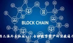 比特儿海外手机版app：全球数字资产的便捷通行