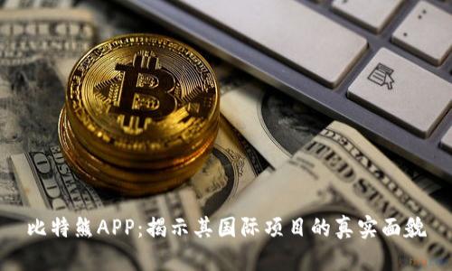 比特熊APP：揭示其国际项目的真实面貌